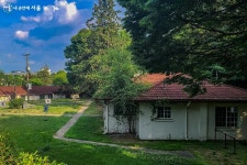베일에 쌓여 있던 용산공원이 문을 열었다! | 서울시 - 내 손안에 서울