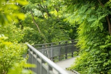 7년의 이음, 신정산 무장애 둘레길 드디어 완성되다! | 서울시 - 내 손안에 서울 7년의 이음, 신정산 무장애 둘레길 드디어 완성되다!