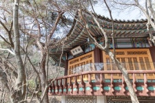 삼청각 50년 만에 새단장…북악산과 어우러진 한옥美 가득 | 서울시 - 내 손안에 서울 삼청각 50년 만에 새단장…북악산과 어우러진 한옥美 가득
