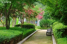 푸른 녹지 가득, 왕이 걷던 길 궁궐담장길로 다시 걷다 | 서울시 - 내 손안에 서울 푸른 녹지 가득, 왕이 걷던 길 궁궐담장길로 다시 걷다