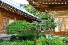 청와대에 힘찬 기합소리 가득~ 주말엔 태권도 공연 즐겨요! | 서울시 - 내 손안에 서울