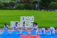 태권도 공연, 이제는 청와대에서 즐기자! | 서울시 - 내 손안에 서울 태권도 공연, 이제는 청와대에서 즐기자!