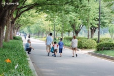 무더운 여름, 휴식이 필요할 때! 보라매공원으로 가요 | 서울시 - 내 손안에 서울 무더운 여름, 휴식이 필요할 때! 보라매공원으로 가요