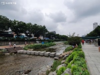 가자! 풍덩풍덩 도심 속 성내천 물놀이장 | 서울시 - 내 손안에 서울 가자! 풍덩풍덩 도심 속 성내천 물놀이장