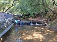 멀리 갈 필요 없어요! 서울 수락산에서 시원한 여름 나기 | 서울시 - 내 손안에 서울 멀리 갈 필요 없어요! 서울 수락산에서 시원한 여름 나기