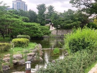 남산골한옥마을에서 고즈넉한 여름 풍류 즐겨 보아요! | 서울시 - 내 손안에 서울 남산골한옥마을에서 고즈넉한 여름 풍류 즐겨 보아요!