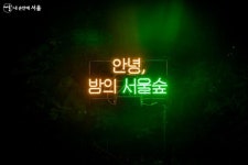 별빛 따라 걷고 달빛 아래 버스킹을, 서울숲 밤의 축제! | 서울시 - 내 손안에 서울 별빛 따라 걷고 달빛 아래 버스킹을, 서울숲 밤의 축제!