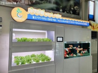 식용곤충, 스마트팜…미래농업 체험했어요! | 서울시 - 내 손안에 서울 식용곤충, 스마트팜…미래농업 체험했어요!