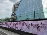 광화문광장에서의 신기한 가상체험! 조선시대 육조거리를 걷다... 새소식 > 공지사항(상세) > 광화문광장에서의 신기한 가상체험! 조선시대... 