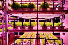 채소 수확에 건강한 먹거리까지, 녹색 쉼터 상도역 메트로팜 | 서울시 - 내 손안에 서울 채소 수확에 건강한 먹거리까지, 녹색 쉼터 상도역... 