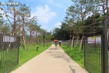 창경궁과 종묘 사이 궁궐담장길 따라 역사를 걷다! | 서울시 - 내 손안에 서울