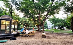 들꽃으로 방향제 만들었어요~ 혁신파크의 가을을 즐기는 법 | 서울시 - 내 손안에 서울 들꽃으로 방향제 만들었어요~ 혁신파크의 가을을 즐기는 법