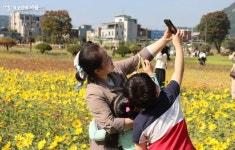 코스모스·해바라기 활짝 핀 열린송현녹지광장에 다녀왔어요... 새소식 > 공지사항(상세) > 코스모스·해바라기 활짝 핀 열린송현녹지광장에... 