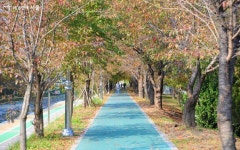 숲속 책 쉼터, 둘레길 코스…볼수록 끌리는 매헌시민의숲 | 서울시 - 내 손안에 서울 숲속 책 쉼터, 둘레길 코스…볼수록 끌리는 매헌시민의숲