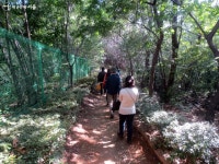 도심 속 숲 여행, 어디까지 가봤니? | 서울시 - 내 손안에 서울 도심 속 숲 여행, 어디까지 가봤니?