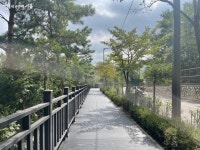 무장애 산책 코스 와룡공원길에서 가을을 만끽해요! | 서울시 - 내 손안에 서울 무장애 산책 코스 와룡공원길에서 가을을 만끽해요!