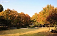 숲속 책 쉼터, 둘레길 코스…볼수록 끌리는 매헌시민의숲 | 서울시 - 내 손안에 서울 숲속 책 쉼터, 둘레길 코스…볼수록 끌리는 매헌시민의숲