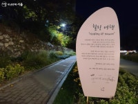 달빛 따라, 물길 따라~ 빛의 온기 머금은 당현천을 걷다 | 서울시 - 내 손안에 서울 달빛 따라, 물길 따라~ 빛의 온기 머금은 당현천을 걷다