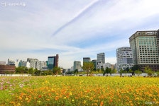송현동 부지, 100년 만에 열린다…녹지광장으로 개방 | 서울시 - 내 손안에 서울 송현동 부지, 100년 만에 열린다…녹지광장으로 개방 