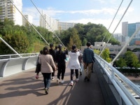 도심 속 숲 여행, 어디까지 가봤니? | 서울시 - 내 손안에 서울 도심 속 숲 여행, 어디까지 가봤니?