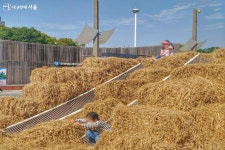 백제문화부터 K컬처까지! 흥겨운 한성백제문화제 현장 | 서울시 - 내 손안에 서울 백제문화부터 K컬처까지! 흥겨운 한성백제문화제 현장 