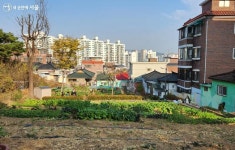 걷는 재미, 듣는 재미! 우리 동네 골목에서 즐기는 소확행 < 공지사항(상세) < 새소식 | 서울문화포털......  새소식 > 공지사항(상세) > 걷는 재미... 