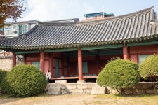500년 된 은행나무가 전해주는 고고한 가을 단풍 < 공지사항(상세) < 새소식 | 서울문화포털......  새소식 > 공지사항(상세) > 500년 된 은행나무... 
