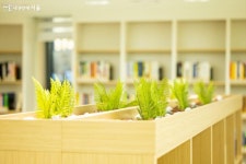 수목원 속 이색도서관 항동푸른도서관 < 공지사항(상세) < 새소식 | 서울문화포털......  새소식 > 공지사항(상세) > 겨울에도 푸릇하게! 수목원 속... 