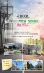 국회대로 거미줄 전선 땅속으로…아름다운 가로숲길 조성 | 서울시 - 내 손안에 서울 국회대로 거미줄 전선 땅속으로…아름다운 가로숲길 조성