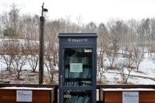 한 주에 한 권 도전! 책 읽기 딱 좋은 숲속 도서관 추천 | 서울시 - 내 손안에 서울 한 주에 한 권 도전! 책 읽기 딱 좋은 숲속 도서관 추천