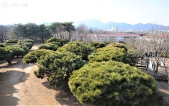 모두의 취향을 담았다~ 공원 속에 공원 품은 이곳 | 서울시 - 내 손안에 서울 모두의 취향을 담았다~ 공원 속에 공원 품은 이곳