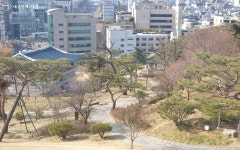 작은 산을 오르듯! 방배동, 부담 없이 산책하기 좋은 곳 | 서울시 - 내 손안에 서울 작은 산을 오르듯! 방배동, 부담 없이 산책하기 좋은 곳