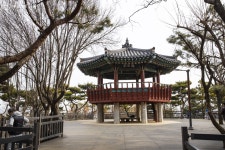 우리동네 숲속 헬스장! 산책부터 등산, 축구, 에어로빅까지 | 서울시 - 내 손안에 서울
