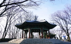 남산에서 뭐 하고 놀지? 팔각안내센터에 물어보세요! | 서울시 - 내 손안에 서울 남산에서 뭐 하고 놀지? 팔각안내센터에 물어보세요!