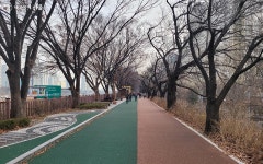 벚꽃길에선 산책, 단풍길에선 운동! 힐링 명소 장안벚꽃길 | 서울시 - 내 손안에 서울 벚꽃길에선 산책, 단풍길에선 운동! 힐링 명소 장안벚꽃길
