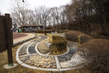 우리동네 숲속 헬스장! 산책부터 등산, 축구, 에어로빅까지 | 서울시 - 내 손안에 서울