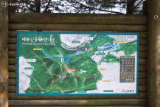 매봉산 황톳길에서 맨발의 청춘 되기! | 서울시 - 내 손안에 서울