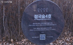 선한 영향력 담긴 명소! 한강공원에서 BTS를 만나다 | 서울시 - 내 손안에 서울