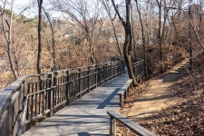 남다르네~ 휠체어·유모차도 쉽게 오르는 영축산 순환산책로 | 서울시 - 내 손안에 서울 남다르네~ 휠체어·유모차도 쉽게 오르는 영축산... 