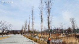 마곡지구 운동하기 좋은 곳! 걷기부터 레포츠까지 | 서울시 - 내 손안에 서울 마곡지구 운동하기 좋은 곳! 걷기부터 레포츠까지 