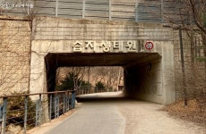 아이들과 자연 속에서 놀아요! 서울숲 보물, 습지생태원 | 서울시 - 내 손안에 서울 아이들과 자연 속에서 놀아요! 서울숲 보물, 습지생태원