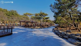 운동종합선물세트 같은 곳! 체육시설, 산책로, 쉼터, 둘레길까지 | 서울시 - 내 손안에 서울