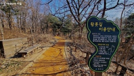 운동종합선물세트 같은 곳! 체육시설, 산책로, 쉼터, 둘레길까지 | 서울시 - 내 손안에 서울