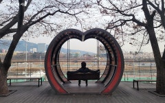 벚꽃길에선 산책, 단풍길에선 운동! 힐링 명소 장안벚꽃길 | 서울시 - 내 손안에 서울 벚꽃길에선 산책, 단풍길에선 운동! 힐링 명소 장안벚꽃길