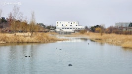 마곡지구 운동하기 좋은 곳! 걷기부터 레포츠까지 | 서울시 - 내 손안에 서울 마곡지구 운동하기 좋은 곳! 걷기부터 레포츠까지 
