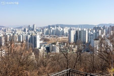 남다르네~ 휠체어·유모차도 쉽게 오르는 영축산 순환산책로 | 서울시 - 내 손안에 서울 남다르네~ 휠체어·유모차도 쉽게 오르는 영축산... 