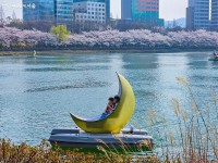 석촌호수 벚꽃은 이미 만개! 늦기 전에 꽃놀이 즐겨요~ | 서울시 - 내 손안에 서울 석촌호수 벚꽃은 이미 만개! 늦기 전에 꽃놀이 즐겨요~