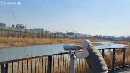 새봄엔 새(鳥) 탐방 떠나요! 탐조명소 서울식물원 습지원 | 서울시 - 내 손안에 서울 새봄엔 새(鳥) 탐방 떠나요! 탐조명소 서울식물원 습지원