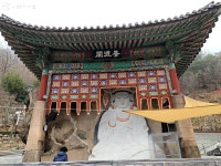 물멍하며 걷기 좋은 곳! 홍제천 산책길 걸었어요~ | 서울시 - 내 손안에 서울 물멍하며 걷기 좋은 곳! 홍제천 산책길 걸었어요~