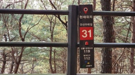 걸으며 봄 마중해 볼까! 울창한 숲 기대되는 안산자락길 | 서울시 - 내 손안에 서울 걸으며 봄 마중해 볼까! 울창한 숲 기대되는 안산자락길